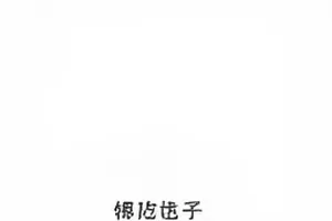 河岸线纪录片中缓缓流动的河面与岸边芦苇